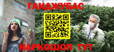 кокс Можга