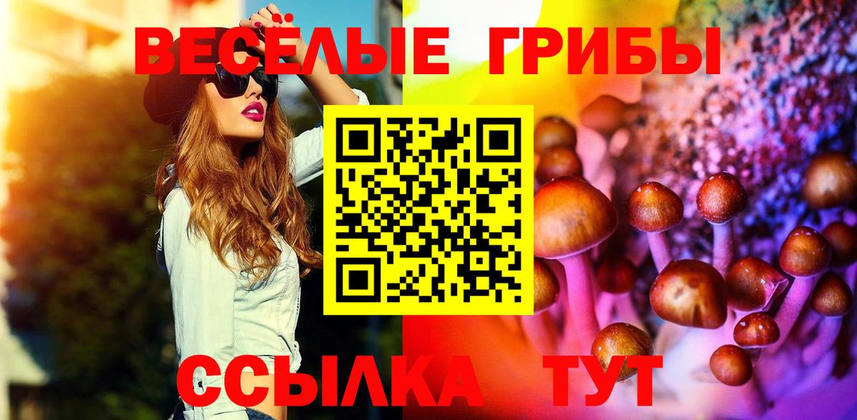 Псилоцибиновые грибы Psilocybe Соликамск
