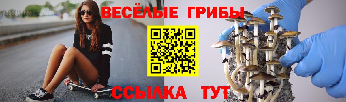 Галлюциногенные грибы Magic Shrooms  Вход с VPN  Галлюциногенные грибы Magic Shrooms  Соликамск 